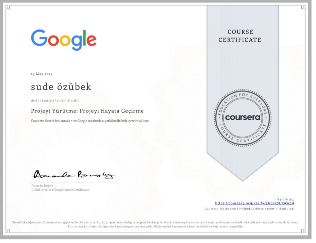 Project Execution: Running the Project certificate preview